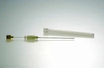 A meningite meningoc&oacute;cica e suas carater&iacute;sticas