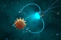 A nanotecnologia na Medicina A nanotecnologia na Medicina