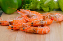 Alergia a camar&atilde;o - causas, sintomas, diagn&oacute;stico e tratamento