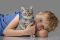 Bartonelose - conceito, sintomas, diagnóstico, tratamento, evolução e prevenção Bartonelose - conceito, sintomas, diagnóstico, tratamento, evolução e prevenção