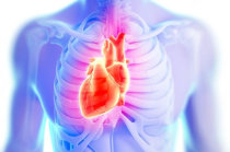 Cora&ccedil;&atilde;o do lado direito do peito? &Eacute; a dextrocardia!