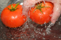 Diarreia intensa? Pode ser salmonelose.