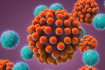 Doenças metabólicas hereditárias e adquiridas: entenda as diferenças e quando suspeitar Doenças metabólicas hereditárias e adquiridas: entenda as diferenças e quando suspeitar