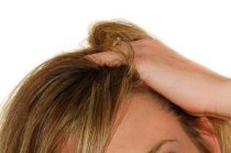 Ectoparasitas humanos: piolhos, carrapatos, pulga, sarna, chato e larva migrans Ectoparasitas humanos: piolhos, carrapatos, pulga, sarna, chato e larva migrans