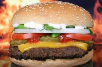 Entendendo o colesterol do organismo