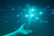 Epigen&eacute;tica: como ambiente e estilo de vida influenciam a atividade dos nossos genes