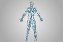 Flebologia Flebologia