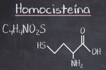Hiper-homocisteinemia - o que é isso? Hiper-homocisteinemia - o que é isso?