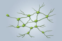 Linfadenite - como ela &eacute;?