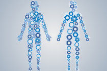 Metabolismo: conceito e como ele influencia na perda e no ganho de peso corporal