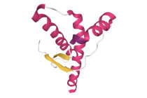 Príon: um agente infeccioso pouco conhecido Príon: um agente infeccioso pouco conhecido