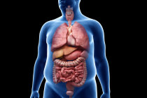 Repercuss&otilde;es card&iacute;acas da obesidade