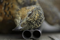 Sadismo - o que é? Sadismo - o que é?