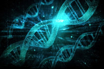 S&iacute;ndrome de Bloom: o desafio oncol&oacute;gico de uma doen&ccedil;a rara