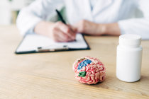 Sintomas internalizantes e externalizantes: como eles afetam a sa&uacute;de mental futura?