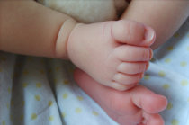 Toxoplasmose cong&ecirc;nita: como ela &eacute;?