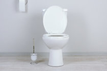 Você está urinando muito? Pode ser poliúria. Você está urinando muito? Pode ser poliúria.