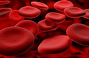 Anticoagulantes: pr&oacute;s e contras