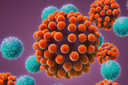 Doen&ccedil;as metab&oacute;licas heredit&aacute;rias e adquiridas: entenda as diferen&ccedil;as e quando suspeitar