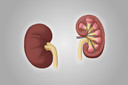 &Iacute;ndice de filtra&ccedil;&atilde;o glomerular